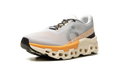 Cloudmonster 2 "Glacier Tangerine" 3ME10123198
